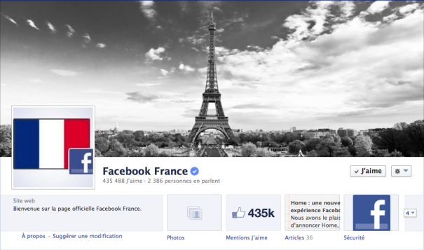 Facebook : chiffres France 2013